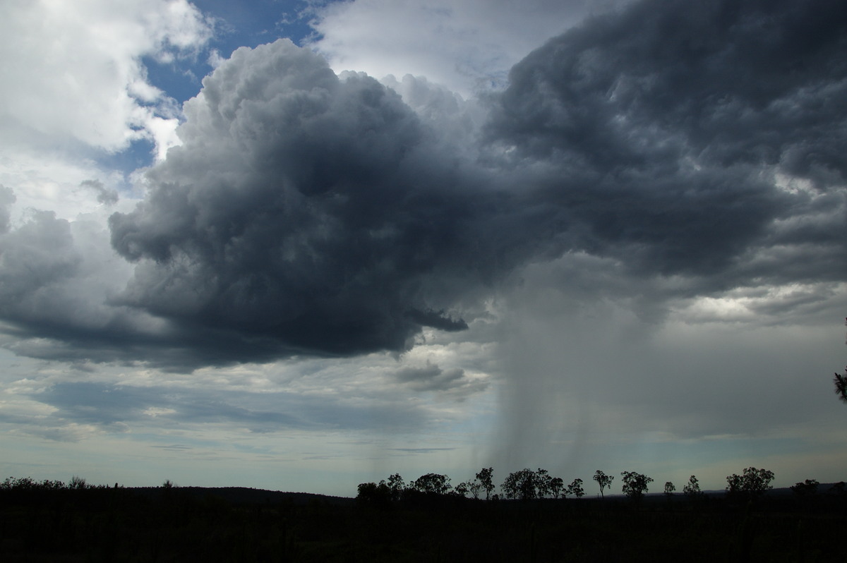 raincascade precipitation_cascade : Whiporie, NSW   15 November 2008