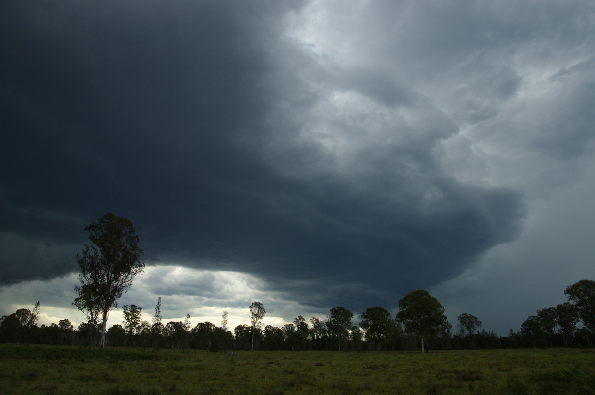 cumulonimbus thunderstorm_base : Myrtle Creek, NSW   15 November 2008