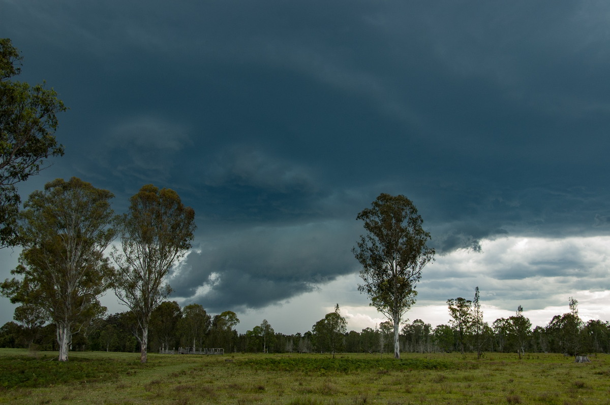 cumulonimbus thunderstorm_base : Myrtle Creek, NSW   15 November 2008