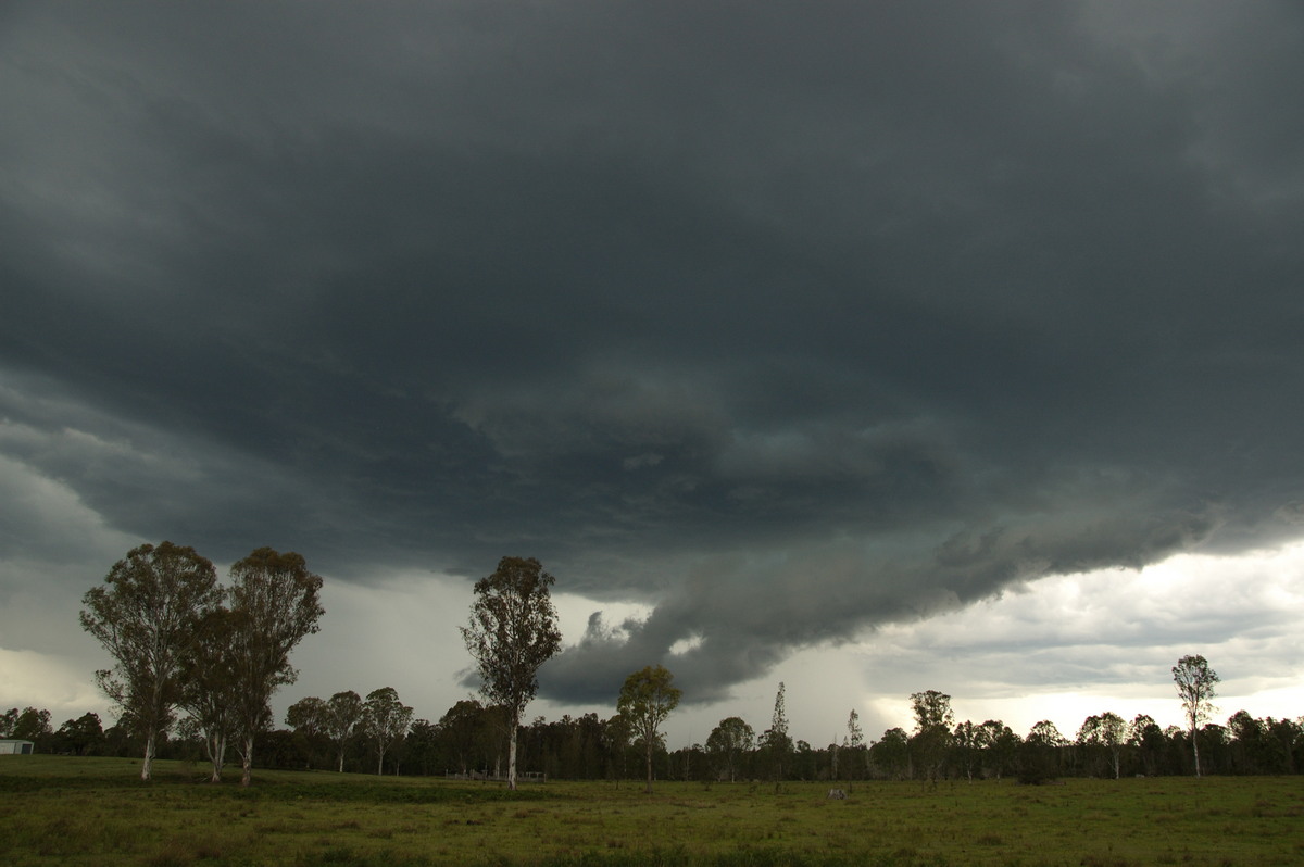 cumulonimbus thunderstorm_base : Myrtle Creek, NSW   15 November 2008