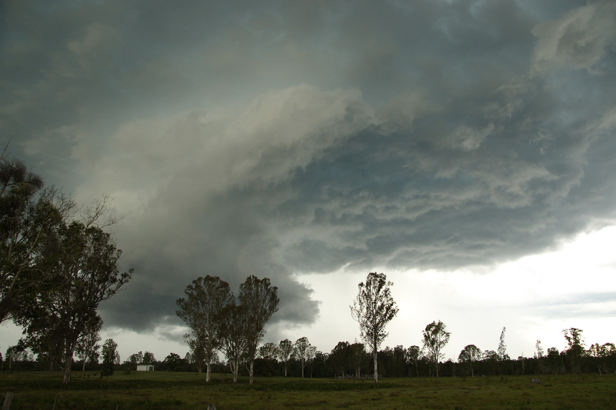 cumulonimbus thunderstorm_base : Myrtle Creek, NSW   15 November 2008