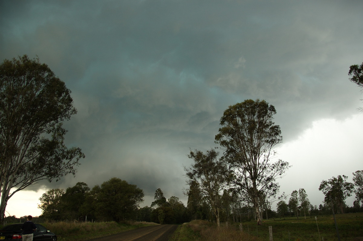 cumulonimbus thunderstorm_base : Myrtle Creek, NSW   15 November 2008