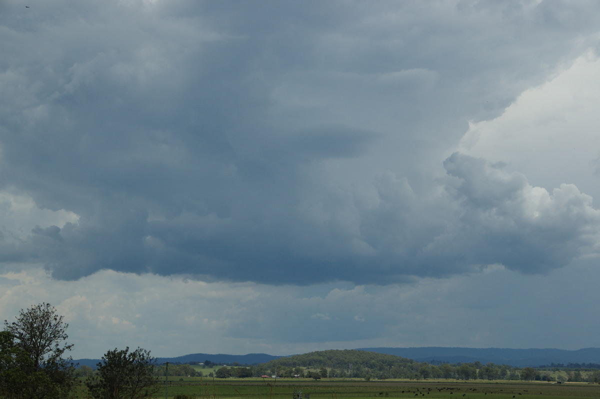 cumulonimbus thunderstorm_base : Cedar Point, NSW   16 November 2008