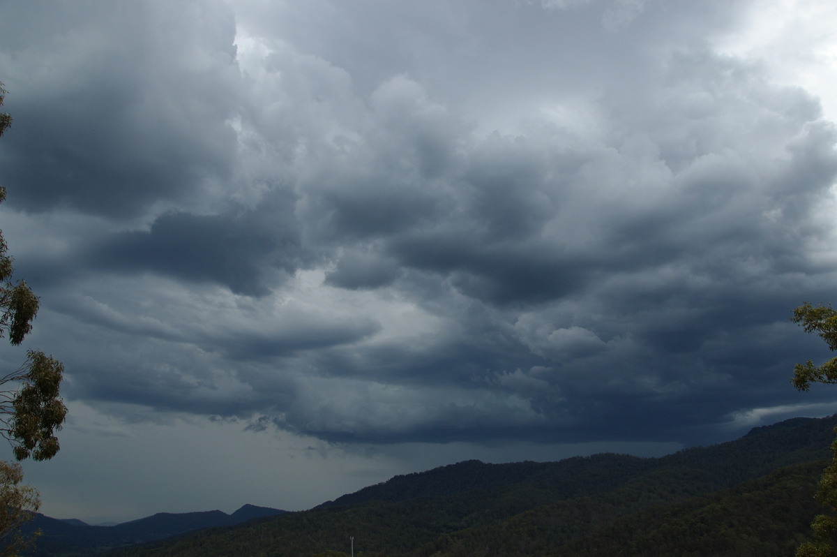 cumulonimbus thunderstorm_base : Cougal, NSW   16 November 2008