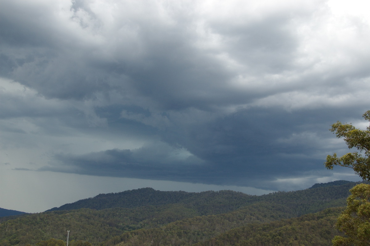 cumulonimbus thunderstorm_base : Cougal, NSW   16 November 2008