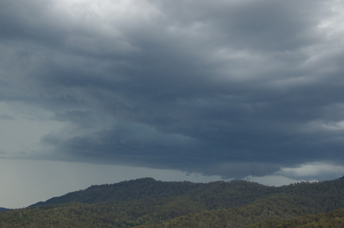 cumulonimbus thunderstorm_base : Cougal, NSW   16 November 2008