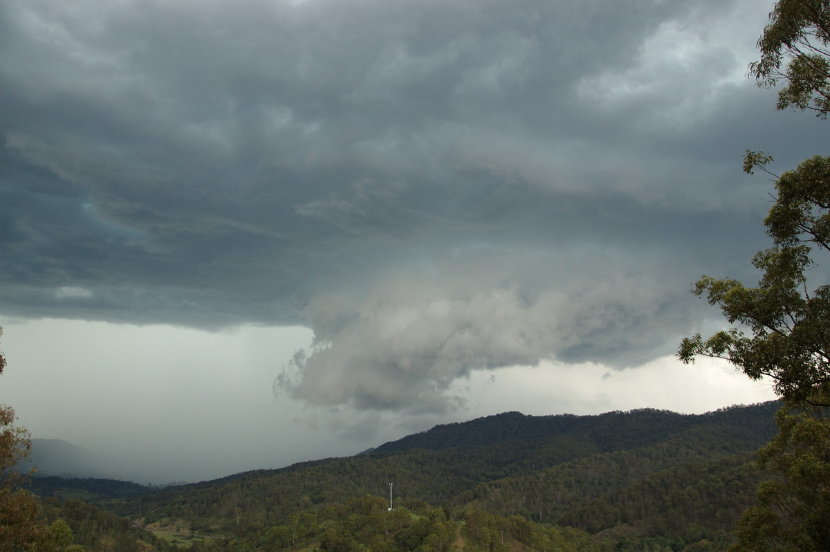 cumulonimbus thunderstorm_base : Cougal, NSW   16 November 2008