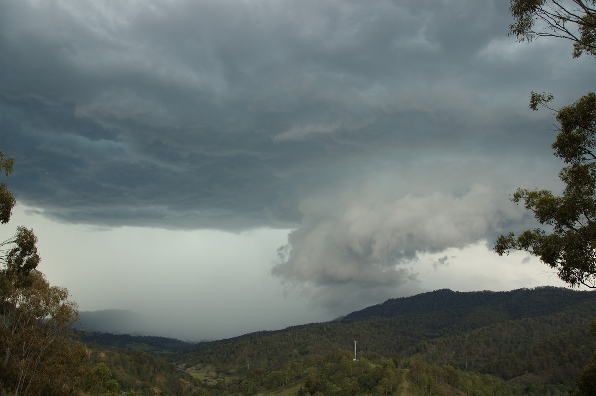 cumulonimbus thunderstorm_base : Cougal, NSW   16 November 2008