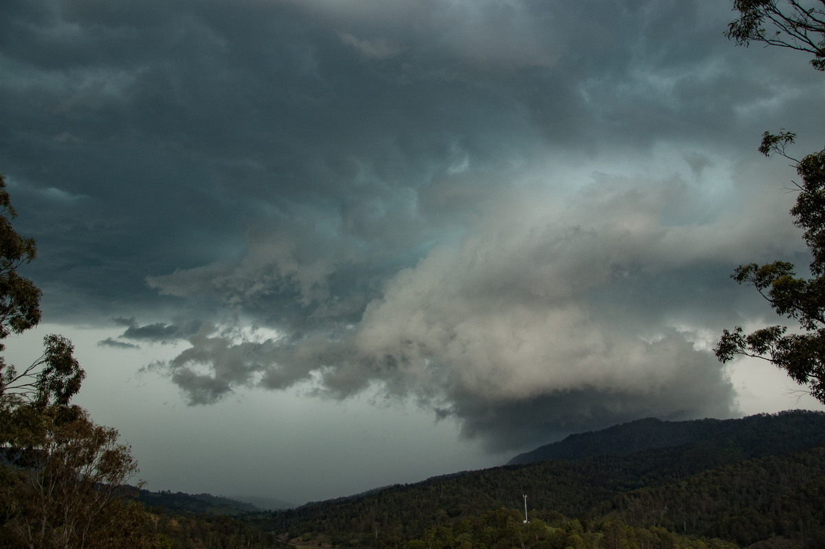 cumulonimbus thunderstorm_base : Cougal, NSW   16 November 2008