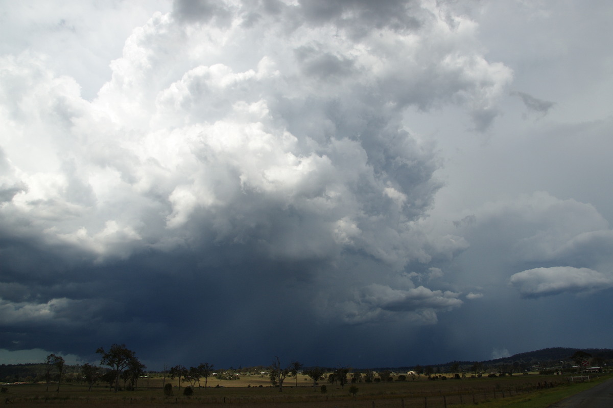 updraft thunderstorm_updrafts : Beaudesert, QLD   16 November 2008