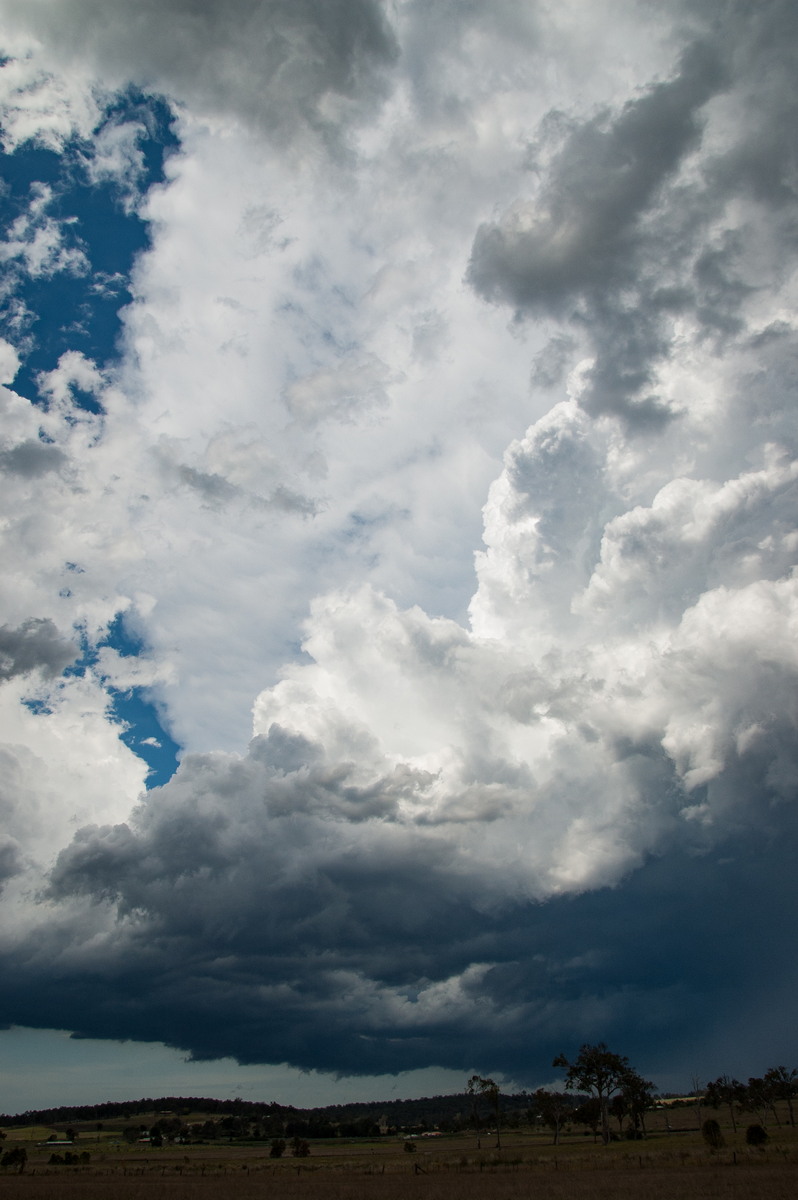 updraft thunderstorm_updrafts : Beaudesert, QLD   16 November 2008