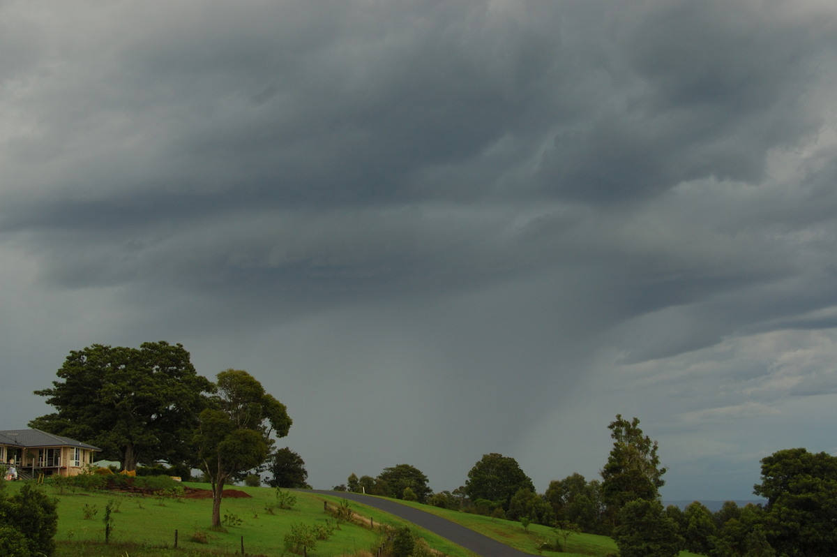 raincascade precipitation_cascade : McLeans Ridges, NSW   20 November 2008