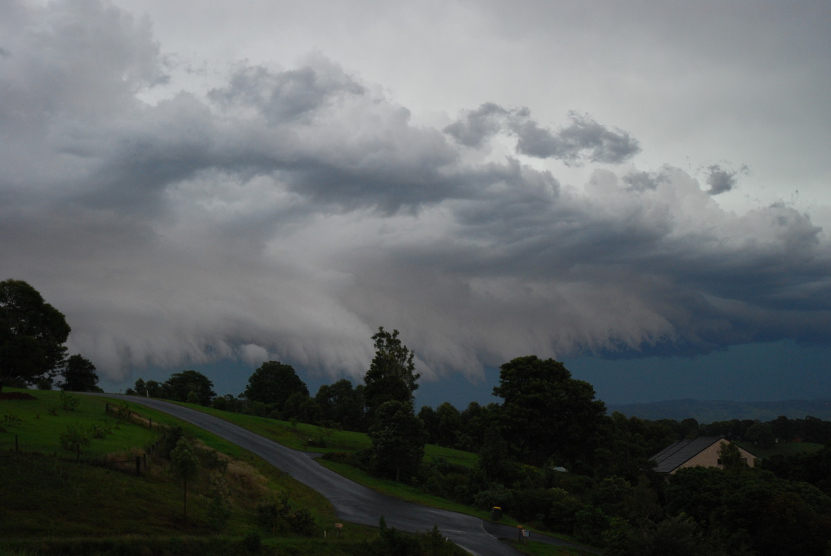 shelfcloud shelf_cloud : McLeans Ridges, NSW   20 November 2008