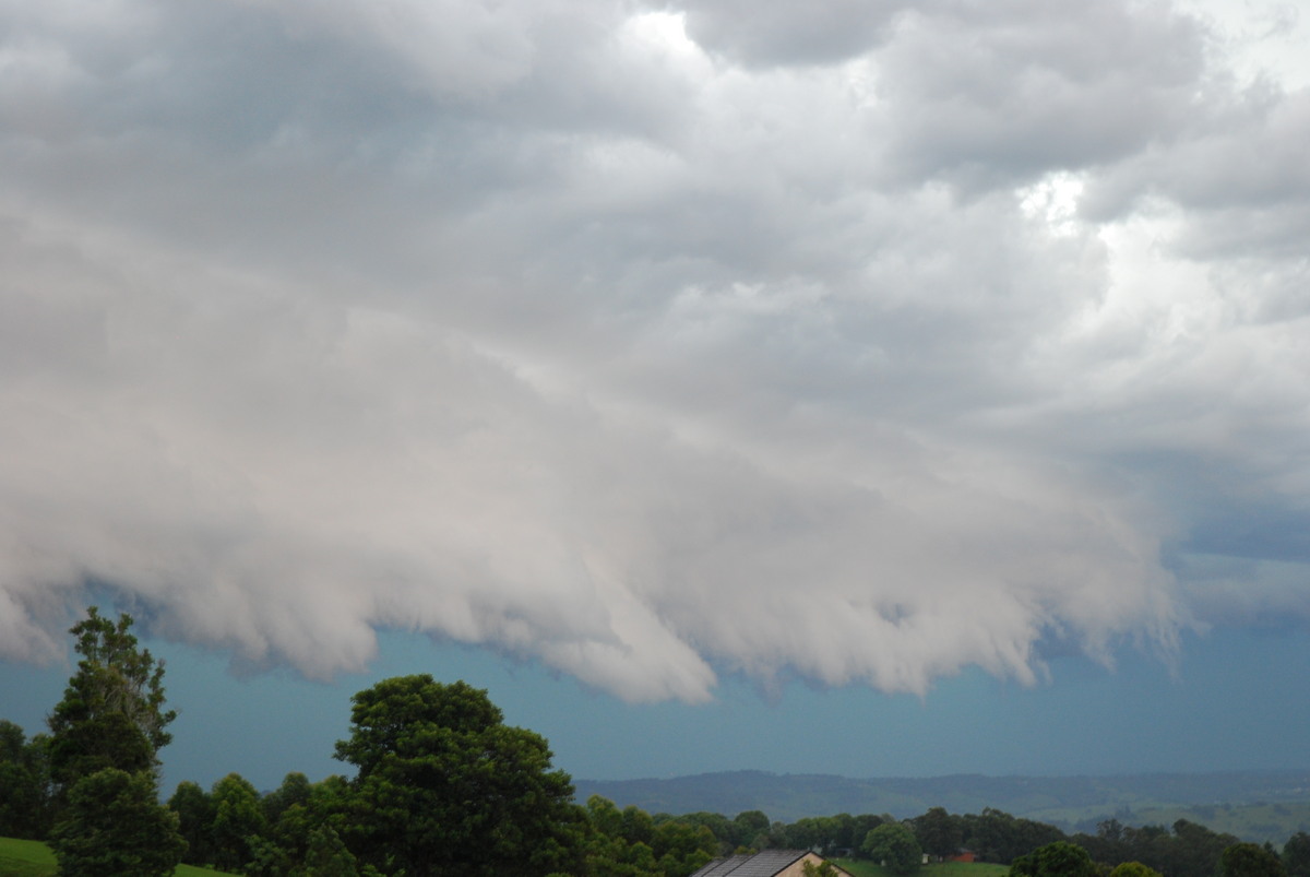 shelfcloud shelf_cloud : McLeans Ridges, NSW   20 November 2008