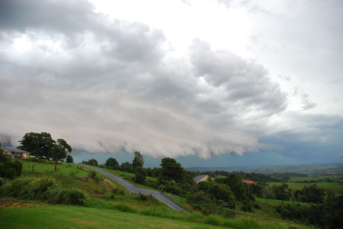 shelfcloud shelf_cloud : McLeans Ridges, NSW   20 November 2008