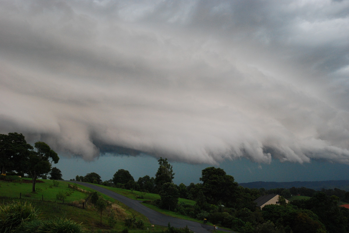 shelfcloud shelf_cloud : McLeans Ridges, NSW   20 November 2008