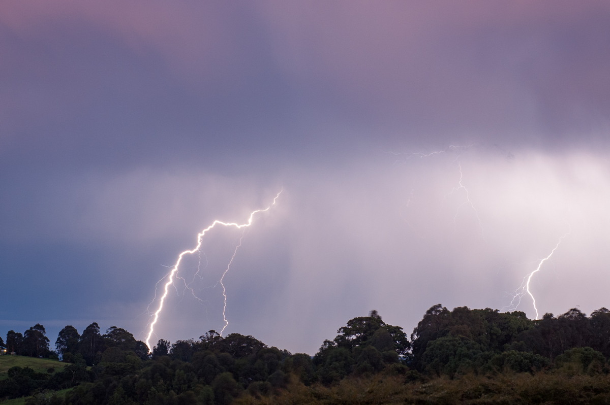 lightning lightning_bolts : McLeans Ridges, NSW   3 December 2008