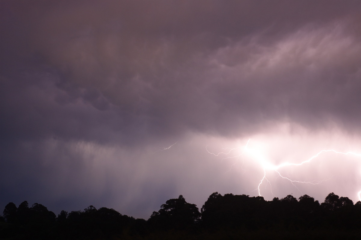 lightning lightning_bolts : McLeans Ridges, NSW   3 December 2008