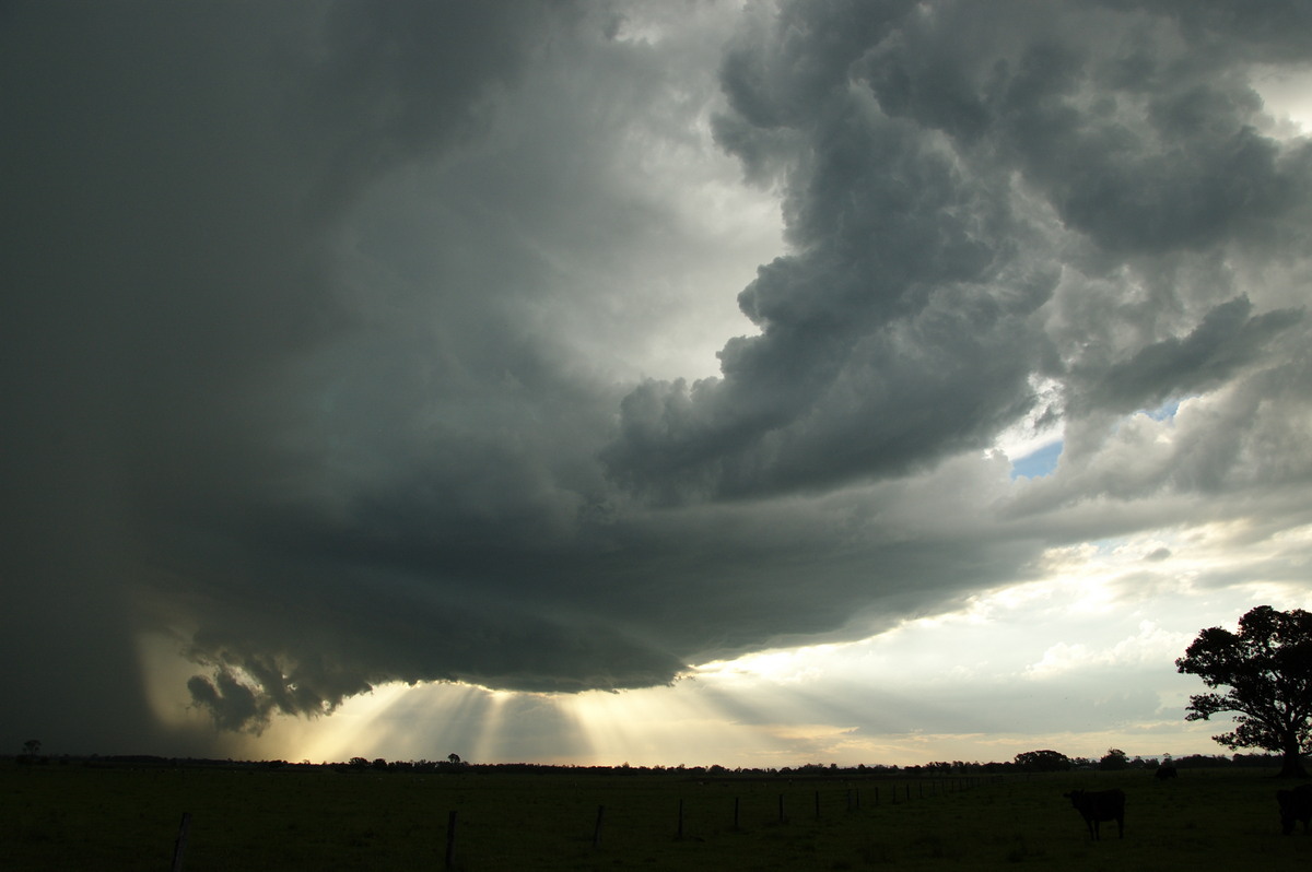 inflowband thunderstorm_inflow_band : McKees Hill, NSW   10 December 2008