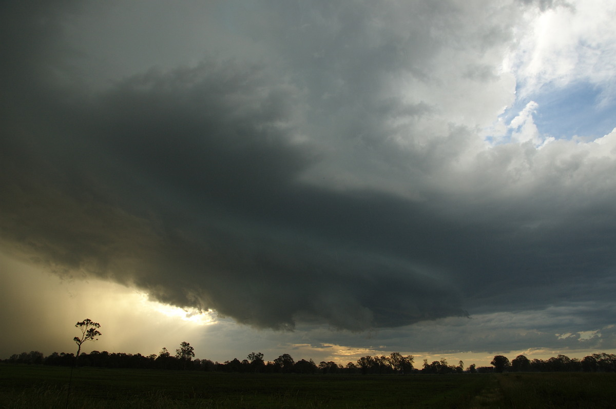 cumulonimbus thunderstorm_base : McKees Hill, NSW   10 December 2008