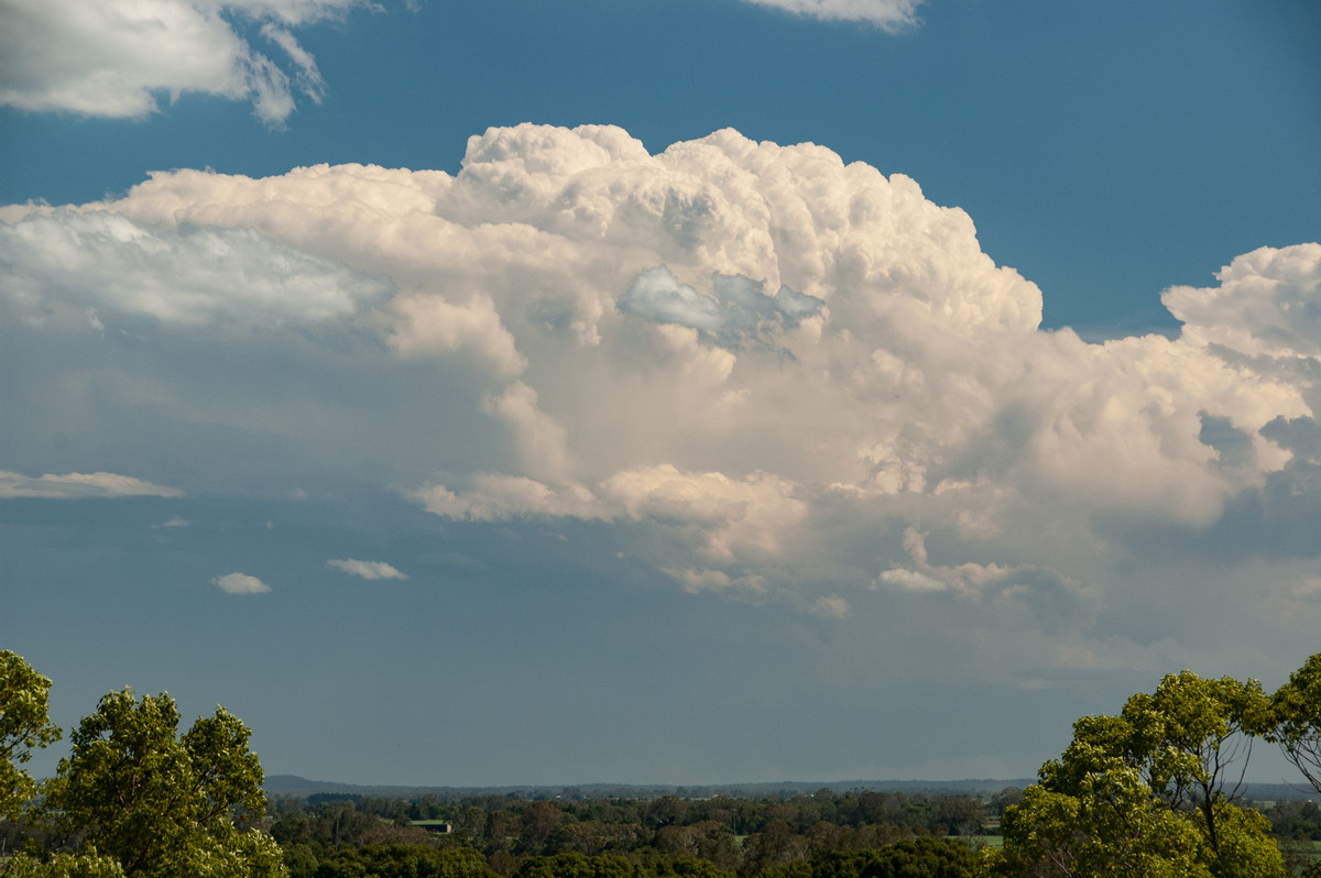 updraft thunderstorm_updrafts : Tuckurimba, NSW   18 December 2008