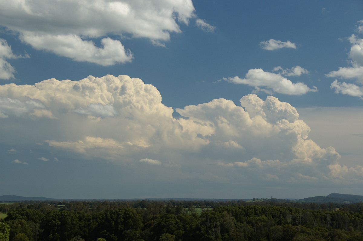 thunderstorm cumulonimbus_calvus : Tuckurimba, NSW   18 December 2008