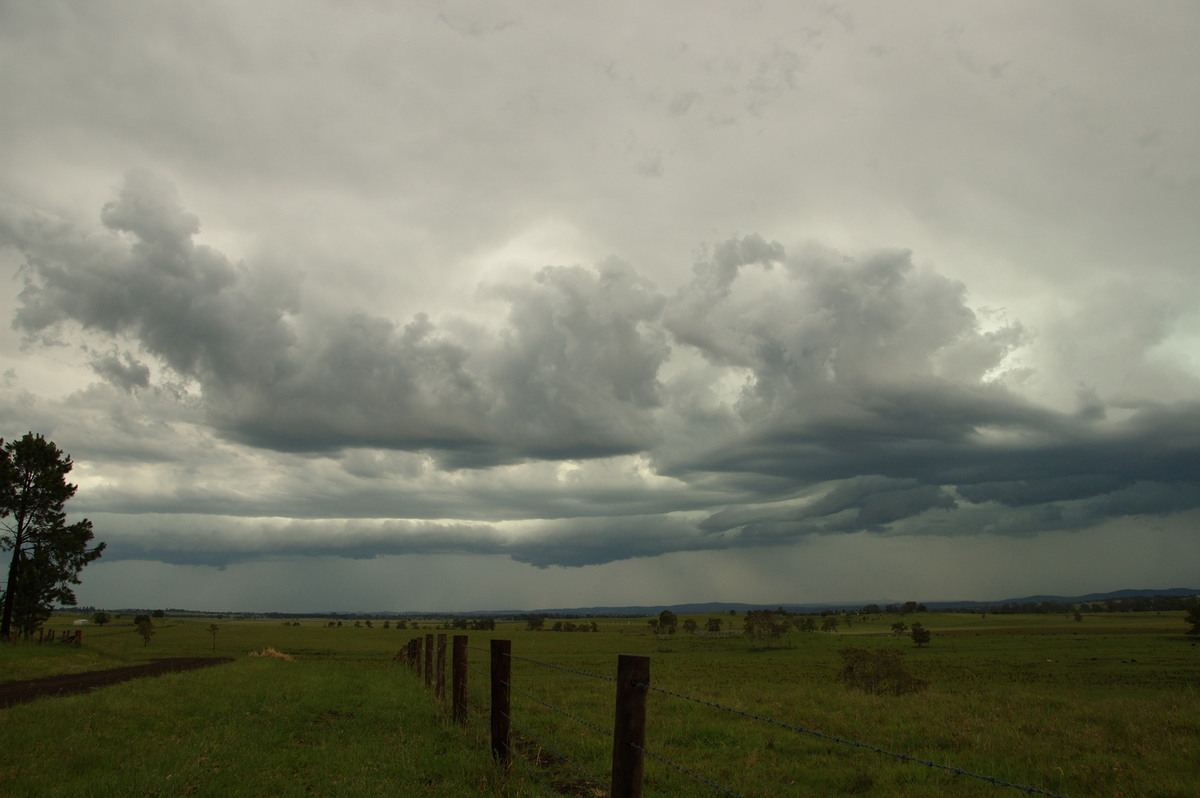 cumulonimbus thunderstorm_base : Cedar Point, NSW   18 December 2008