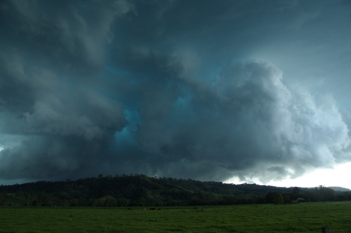 cumulonimbus thunderstorm_base : Kyogle, NSW   24 December 2008