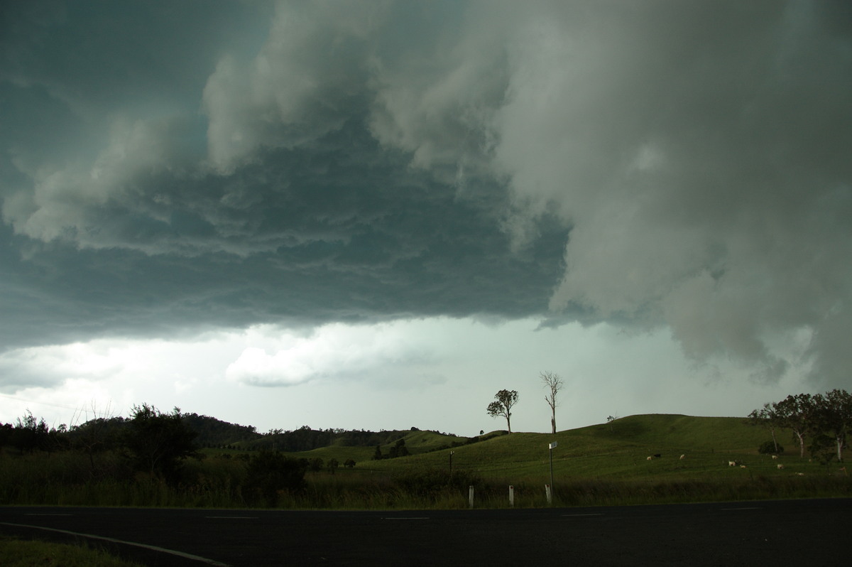 cumulonimbus thunderstorm_base : Kyogle, NSW   24 December 2008