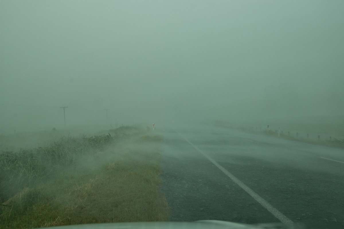 favourites michael_bath : N of Kyogle, NSW   24 December 2008