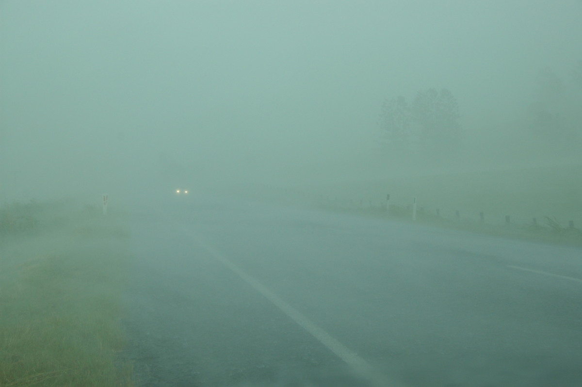 precipitation precipitation_rain : N of Kyogle, NSW   24 December 2008