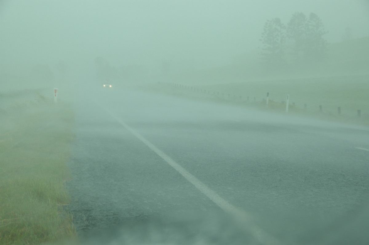 precipitation precipitation_rain : N of Kyogle, NSW   24 December 2008