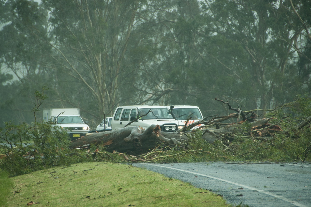 favourites michael_bath : N of Kyogle, NSW   24 December 2008