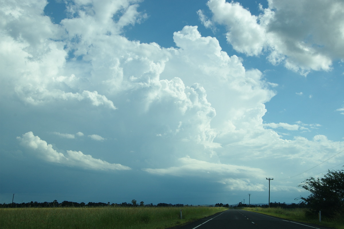 thunderstorm cumulonimbus_calvus : Cedar Point, NSW   24 December 2008