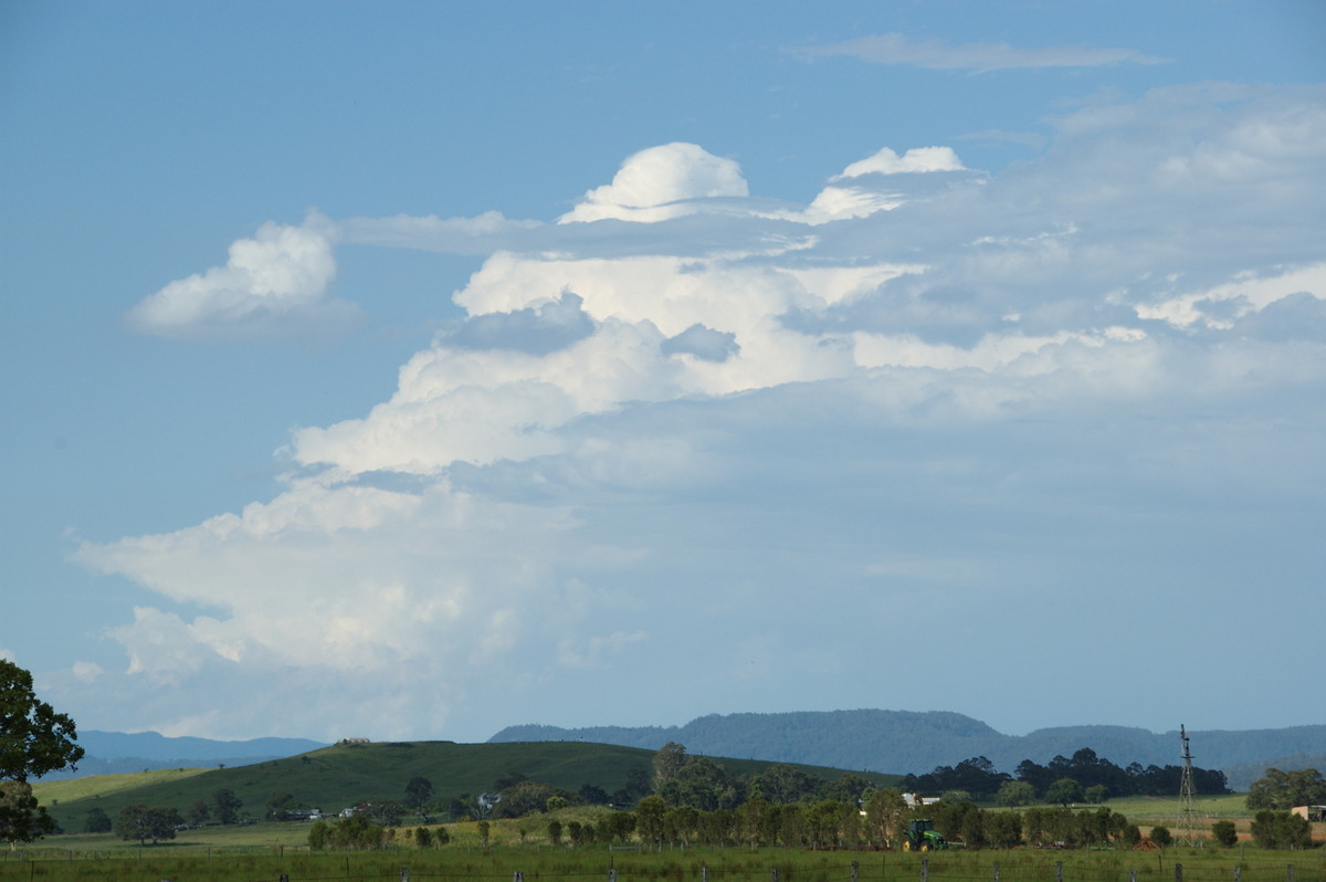 thunderstorm cumulonimbus_calvus : N of Casino, NSW   24 December 2008