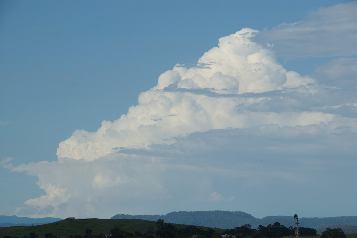 thunderstorm cumulonimbus_calvus : N of Casino, NSW   24 December 2008