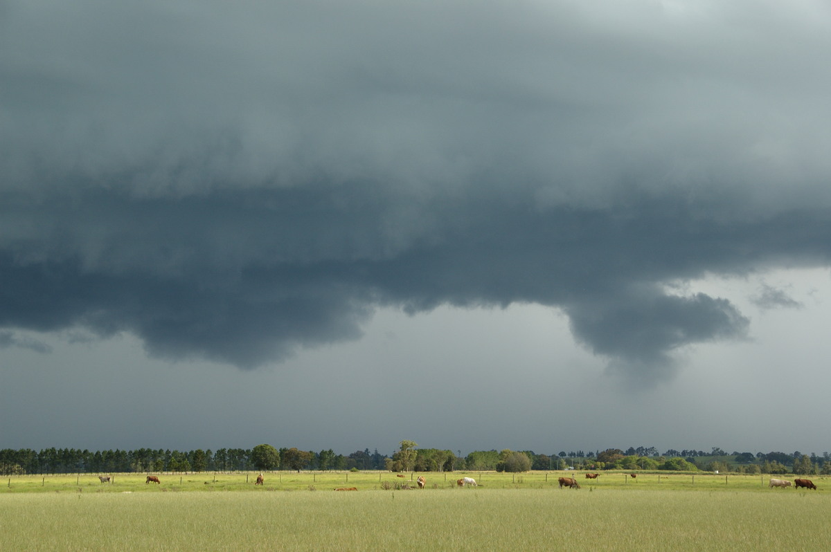 cumulonimbus thunderstorm_base : N of Casino, NSW   24 December 2008