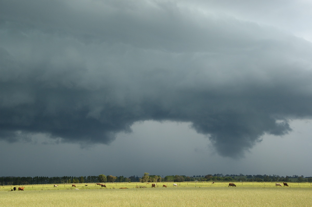 cumulonimbus thunderstorm_base : N of Casino, NSW   24 December 2008