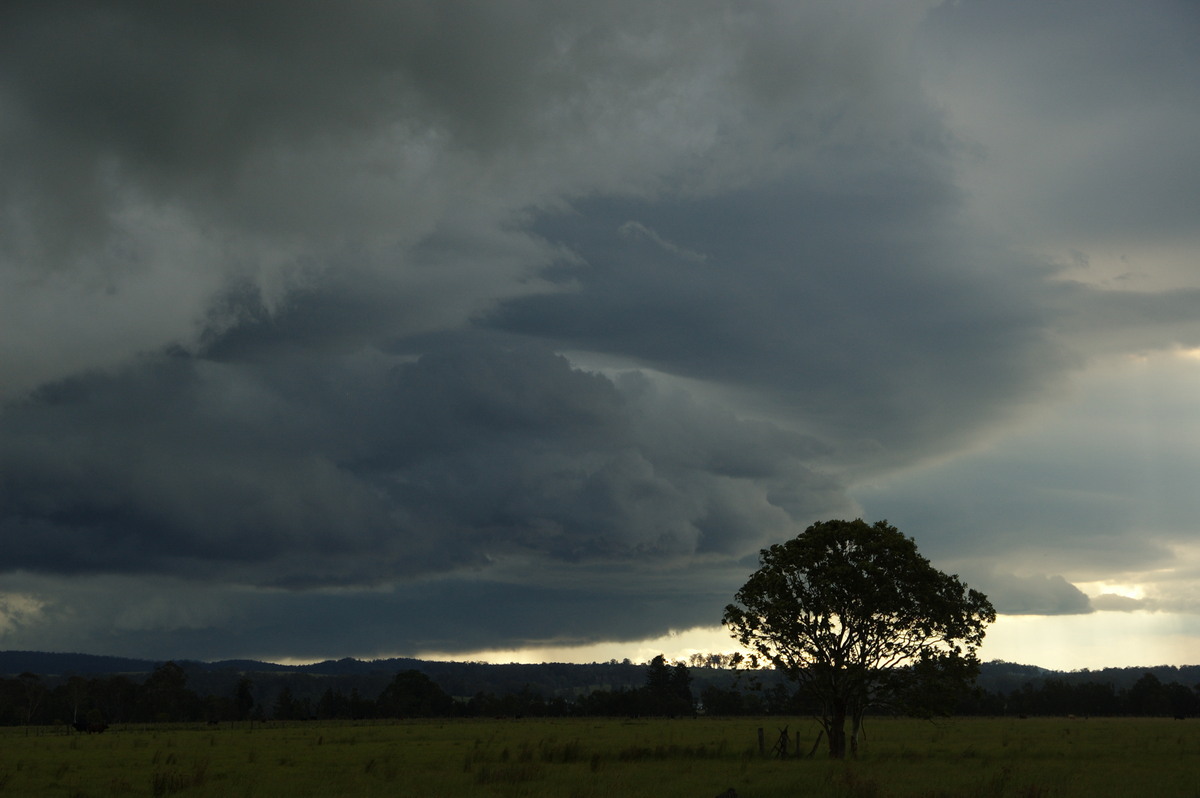 cumulonimbus thunderstorm_base : N of Casino, NSW   24 December 2008