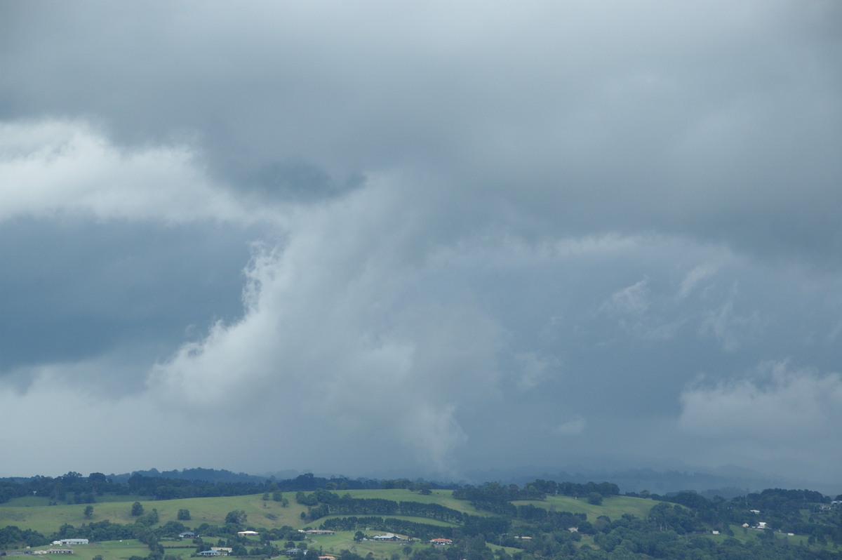 stratus stratus_cloud : McLeans Ridges, NSW   28 December 2008