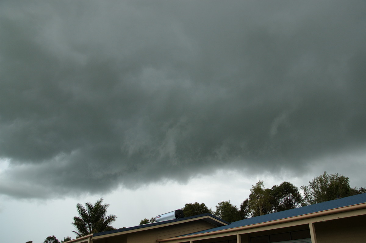 cumulonimbus thunderstorm_base : McLeans Ridges, NSW   28 December 2008