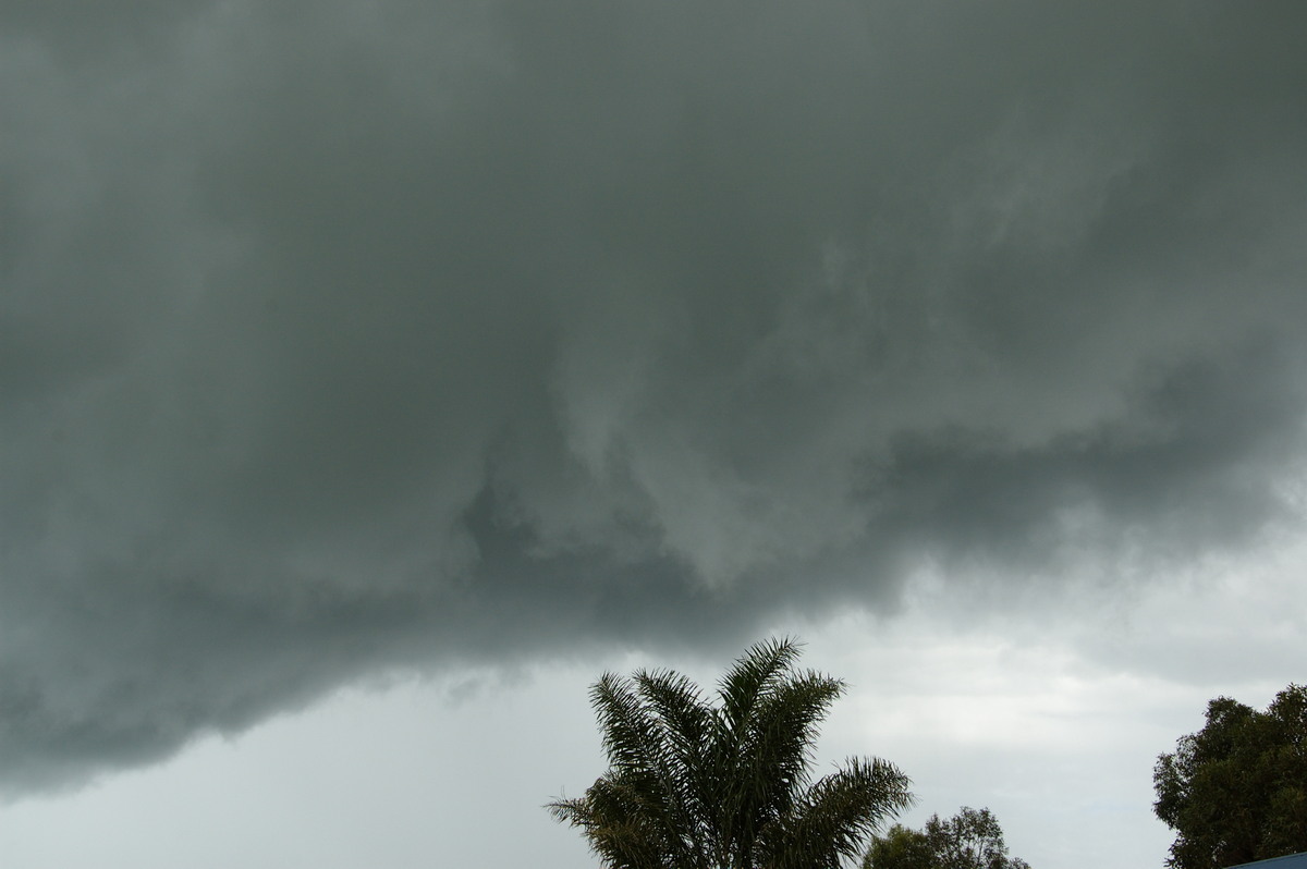 cumulonimbus thunderstorm_base : McLeans Ridges, NSW   28 December 2008