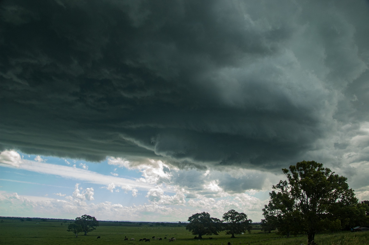 cumulonimbus supercell_thunderstorm : McKees Hill, NSW   30 December 2008