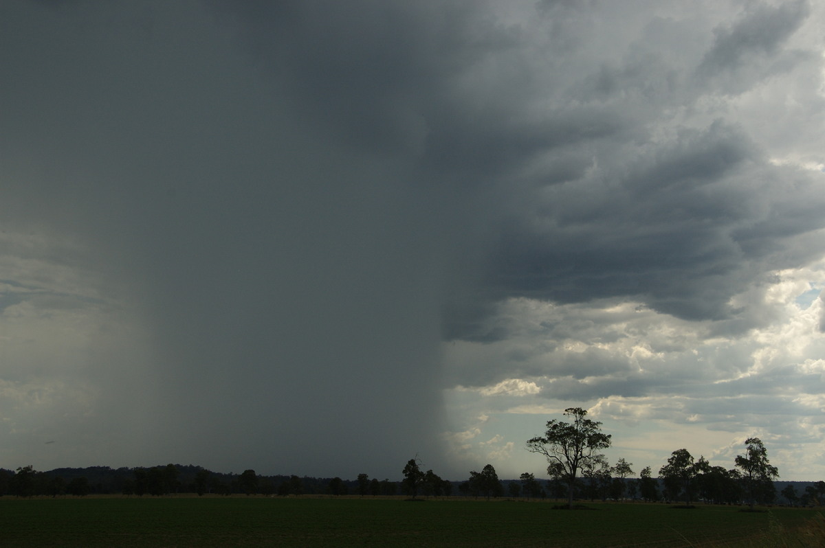 microburst micro_burst : Shannon Brook, NSW   16 January 2009