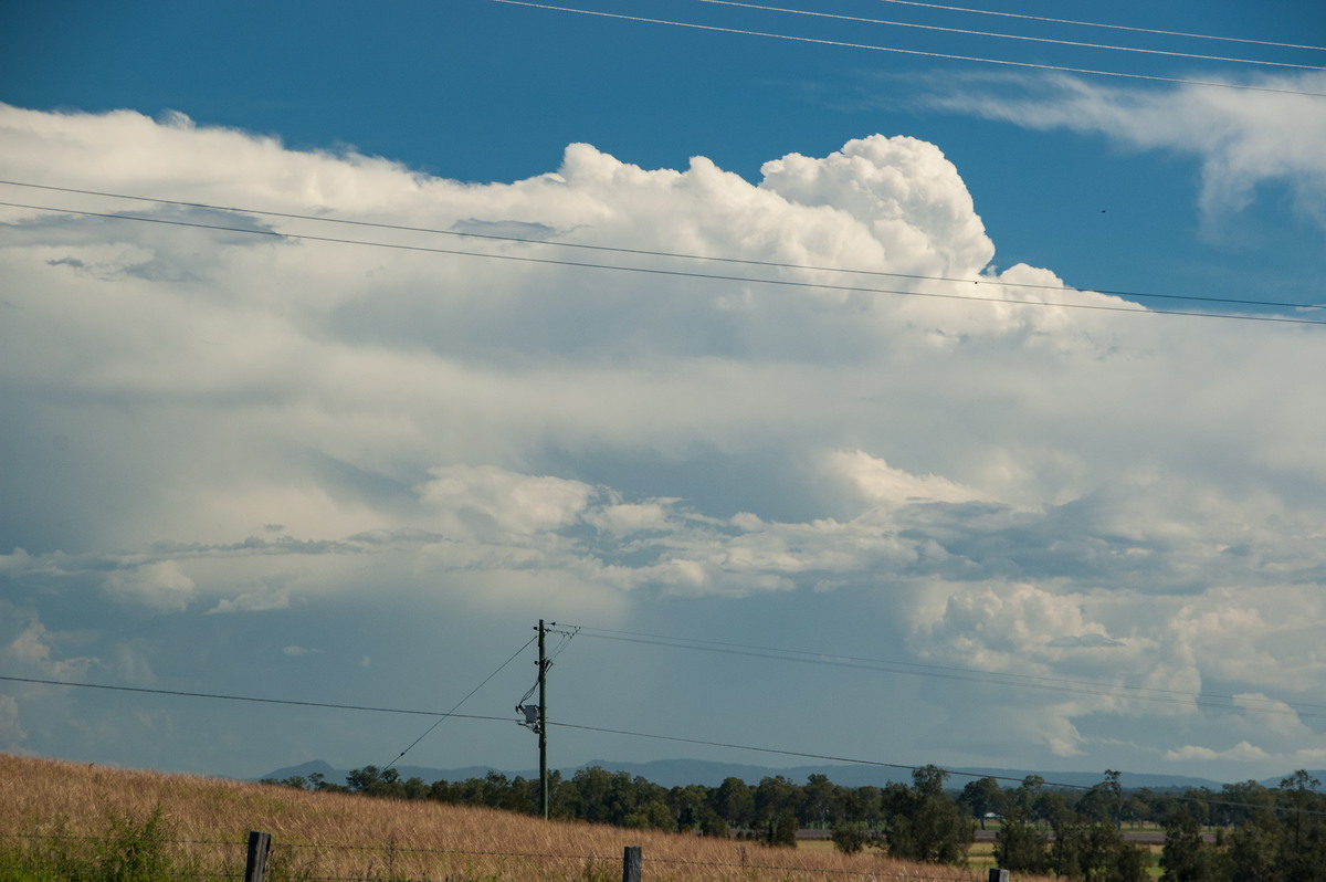 thunderstorm cumulonimbus_incus : Spring Grove, NSW   15 March 2009