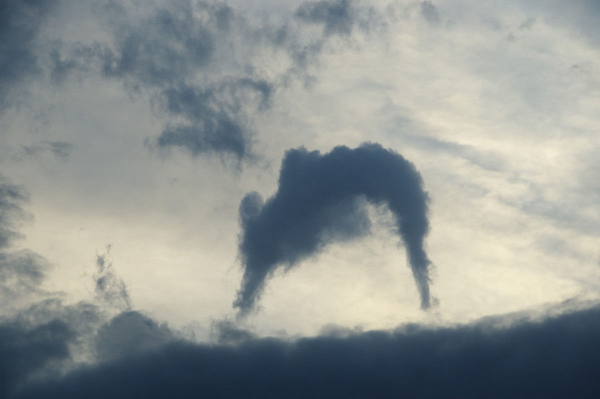 tornadoes funnel_tornado_waterspout : Junction Hill, NSW   15 March 2009