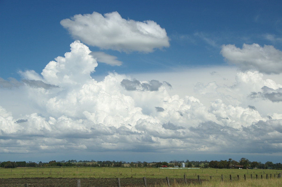 cumulus congestus : N of Casino, NSW   16 March 2009