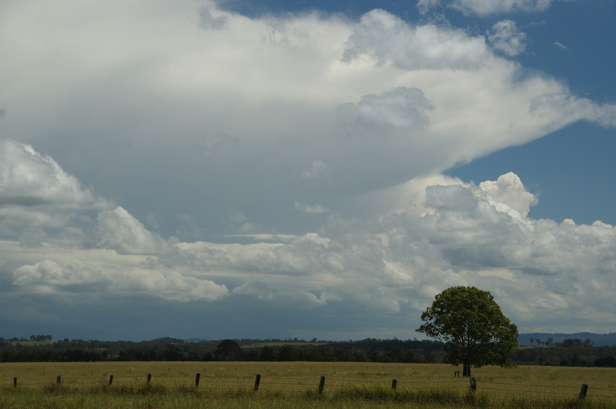 thunderstorm cumulonimbus_incus : N of Casino, NSW   16 March 2009