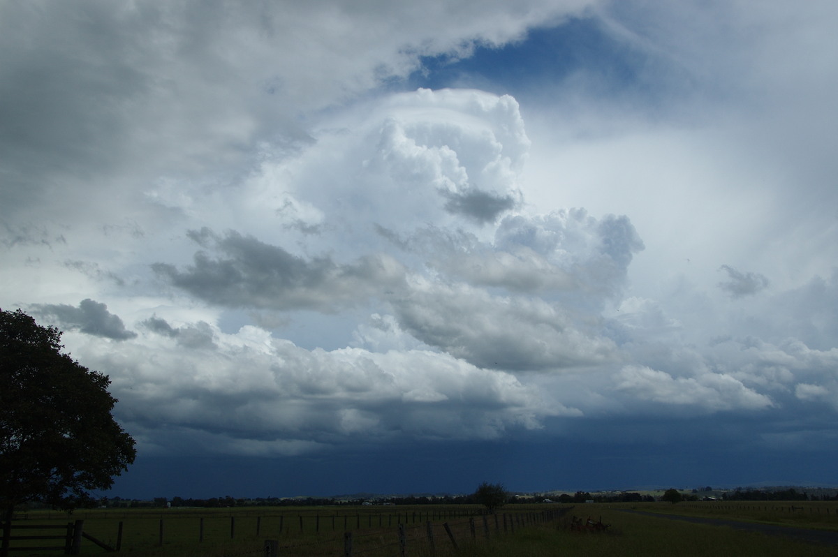 pileus pileus_cap_cloud : N of Casino, NSW   16 March 2009