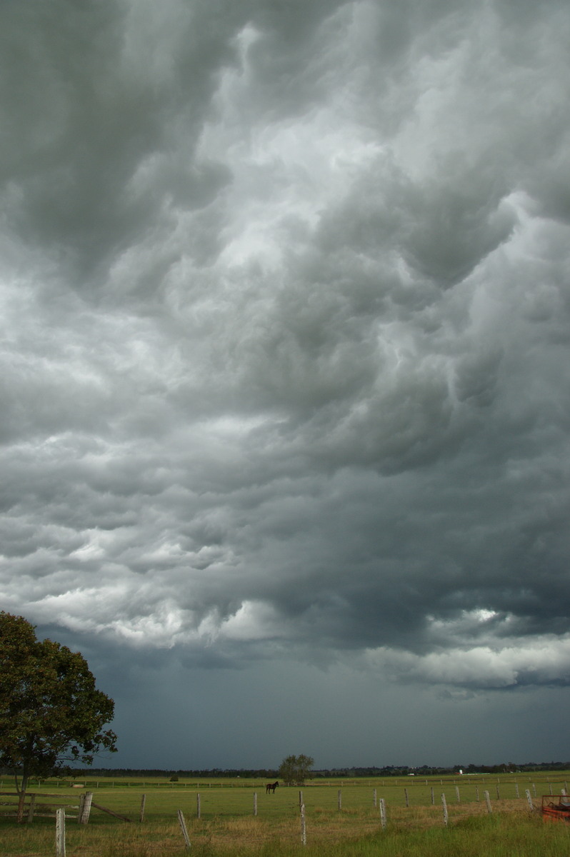 altocumulus altocumulus_cloud : N of Casino, NSW   16 March 2009